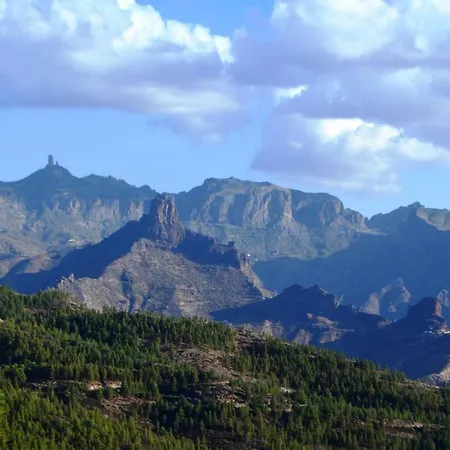 Ne65 * Las Palmas de Gran Canaria